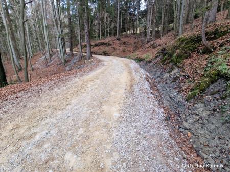 Sanacija gozdnih cest (2)